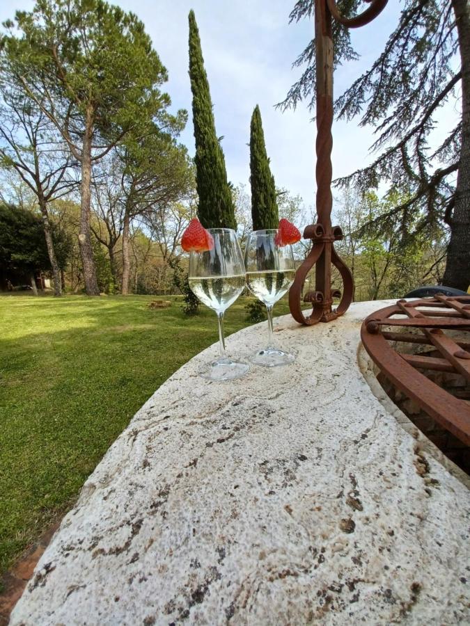 Villa Poggio Fagianino 桑塔比诺 外观 照片